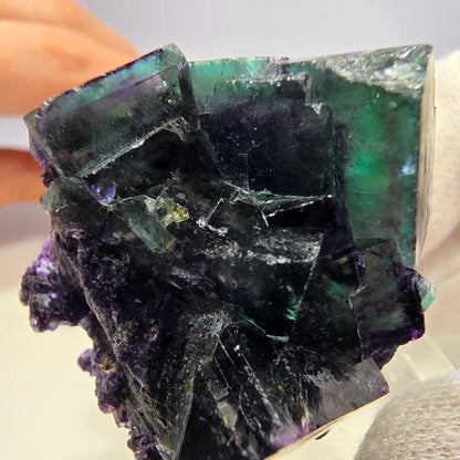 Spécimen de cube de fluorite fantôme transparente, vert-violet zonal, Okorusu, Namibie, 39 x 37 x 23 mm 