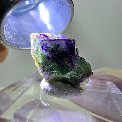 Cube de fluorite fantôme, zonal, spécimen de muscovite, Erongo, Namibie, 18 x 12 x 11 mm 