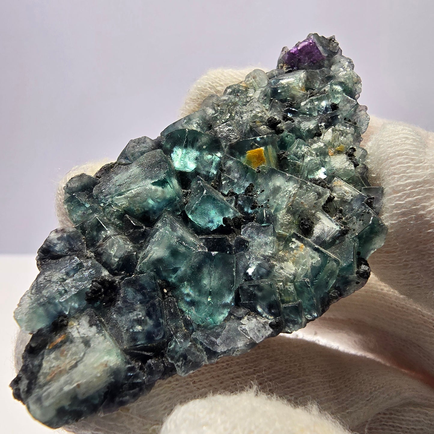 Cubes rares de fluorite fantôme zonale, vert violet, Erongo, Namibie 74 x 41 x 9 mm 