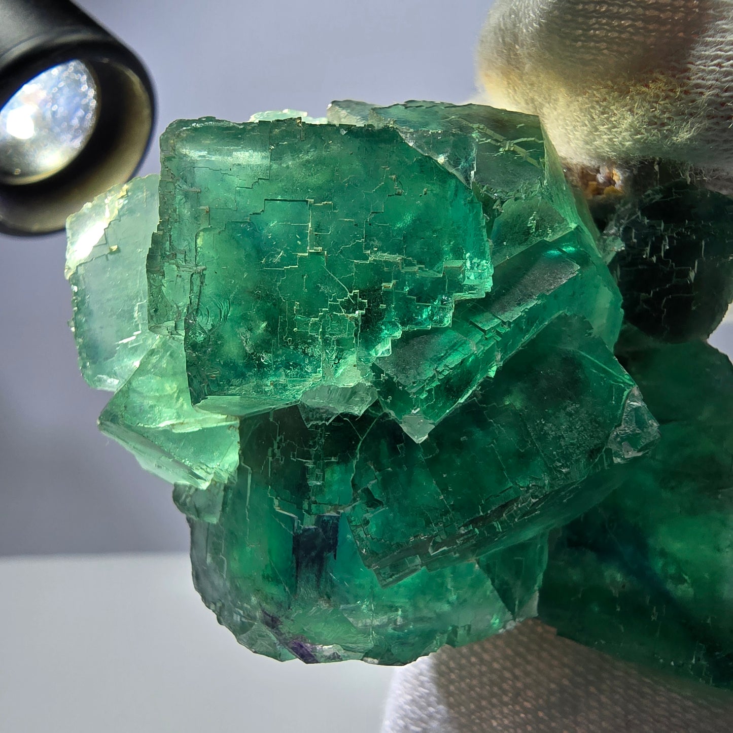 Rare spécimen de cube de fluorite fantôme, parqueté vert Okorusu, Namibie, 74 x 50 x 30 mm 