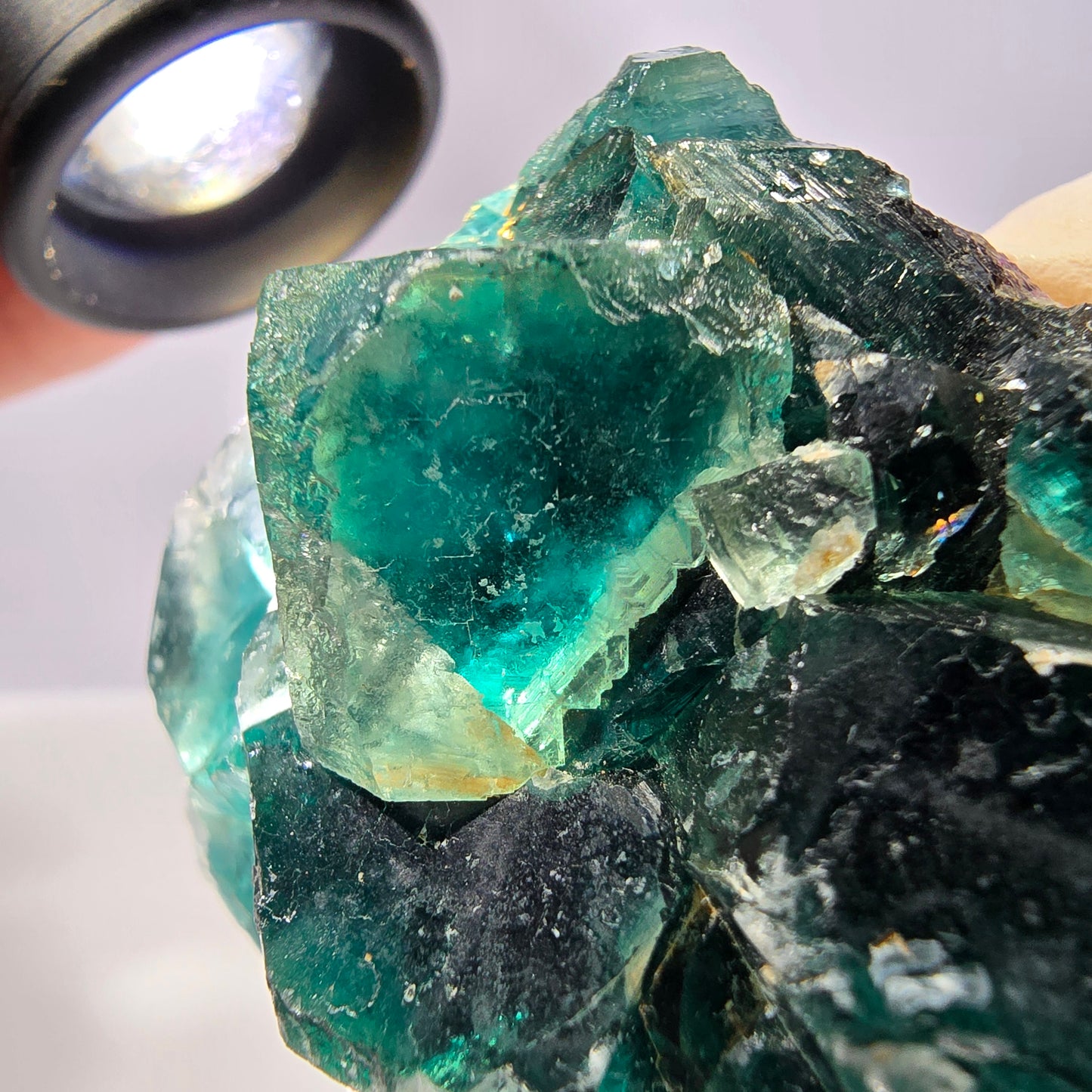 Spécimen de cube de fluorite fantôme, parqueté vert violet Okorusu, Namibie 53*49*28 mm 