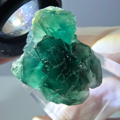 Phantom Fluorit Würfel Stufe, grün parkettiert Okorusu, Namibia 28*24*18mm