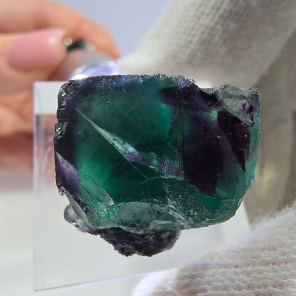 Rare cube de fluorite fantôme, vert violet zonal Okorusu, Namibie 26*24*18 mm 