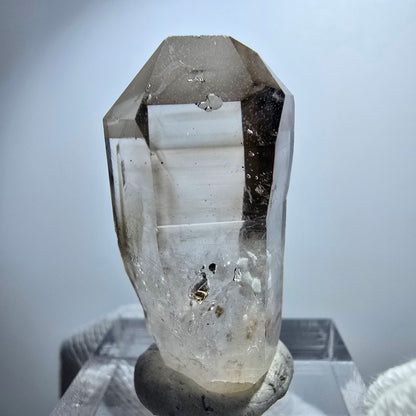 Pointe de sceptre en quartz fumé fantôme transparent, Goboboseb, Namibie, 31 x 16 x 13 mm 