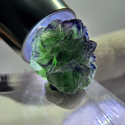 Cube de fluorite fantôme zonal, spécimen de tourmaline Schorl, Erongo, Namibie, 14 x 13 x 13 mm 
