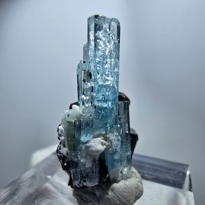 Seltener Aquamarin X mit Schörl Turmalin Erongo, Namibia 26*20*12mm