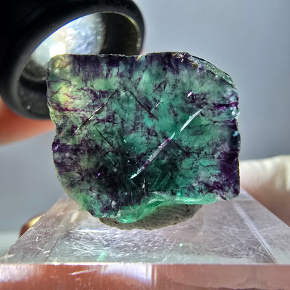 Phantom Fluorite cube parquetted, green purple Okorusu, Namibia 20*20*18mm 