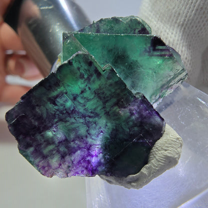 Spécimen rare de cube de fluorite fantôme, vert zonal et violet, Okorusu, Namibie, 32 x 28 x 19 mm 