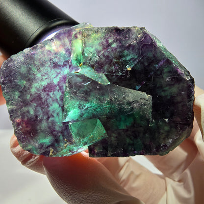 Spécimen de cube de fluorite fantôme, parqueté vert violet Okorusu, Namibie 51*35*16 mm 