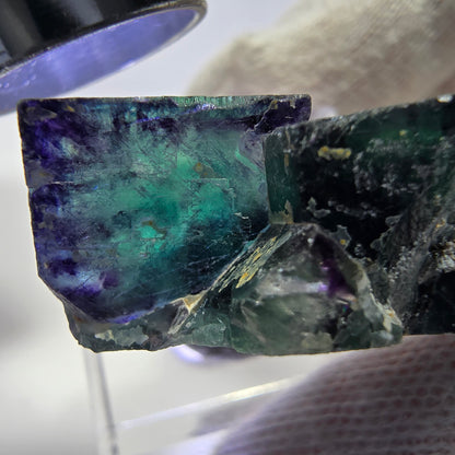 Rare spécimen de cube de fluorite fantôme, vert-violet zonal, Okorusu, Namibie, 39 x 24 x 16 mm 