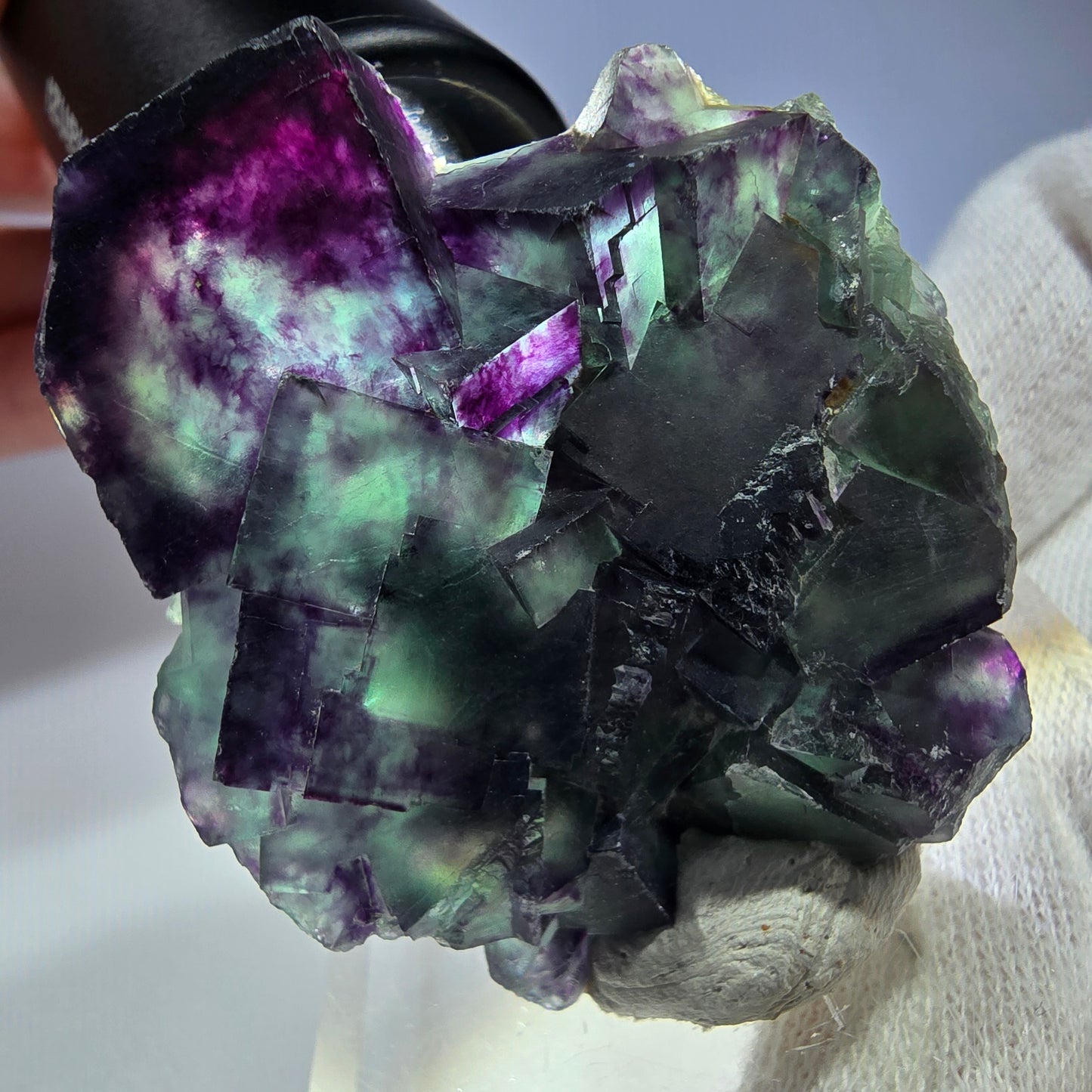 Spécimen rare de cube de fluorite fantôme, vert zonal et violet, Okorusu, Namibie, 49 x 47 x 18 mm 