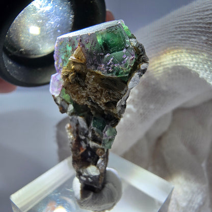 Cube de fluorite fantôme, tourmaline muscovite hexagonale Schörl, Erongo, Namibie 40 x 21 x 13 mm 
