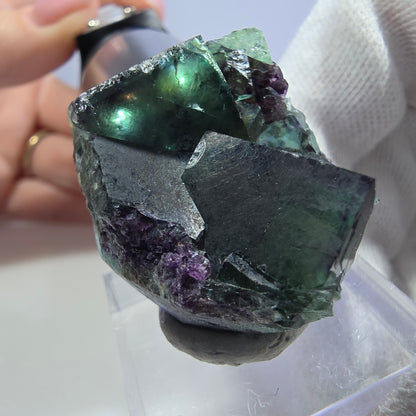 Seltene Phantom Fluorit Würfel Stufe zonal grün lila Okorusu, Namibia 34*25*18mm