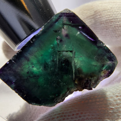 Rare cube de fluorite fantôme, vert violet zonal Okorusu, Namibie 30*27*20mm 