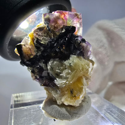 Spécimen de fluorite fantôme colorée, tourmaline scholle, muscovite, Erongo, Namibie, 25 x 22 x 14 mm 