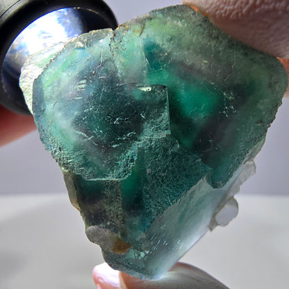 Spécimen de cube de fluorite fantôme, parqueté vert violet Okorusu, Namibie 44*43*21 mm 