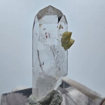 Quartz Harlequin avec préhnite Point Streep Mine, Goboboseb, Namibie 32 x 14 x 11 mm 