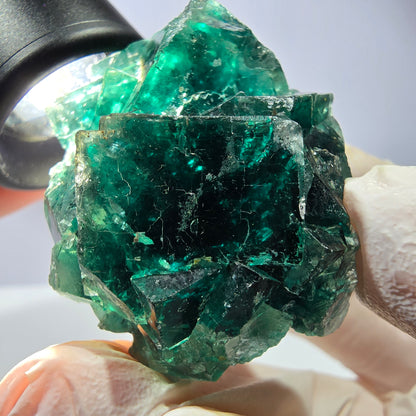 Spécimen de cube de fluorite fantôme, parqueté vert violet Okorusu, Namibie 47*36*24 mm 