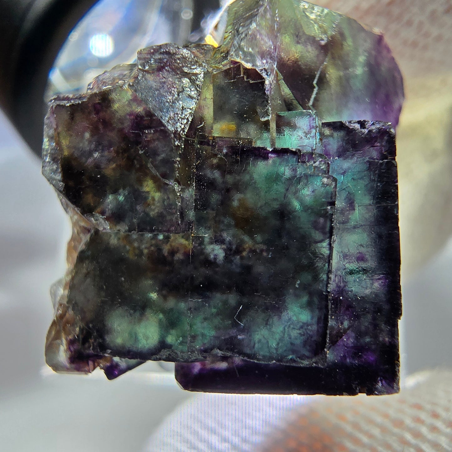 Spécimen rare de cube de fluorite fantôme, vert zonal et violet, Okorusu, Namibie, 28 x 24 x 21 mm 
