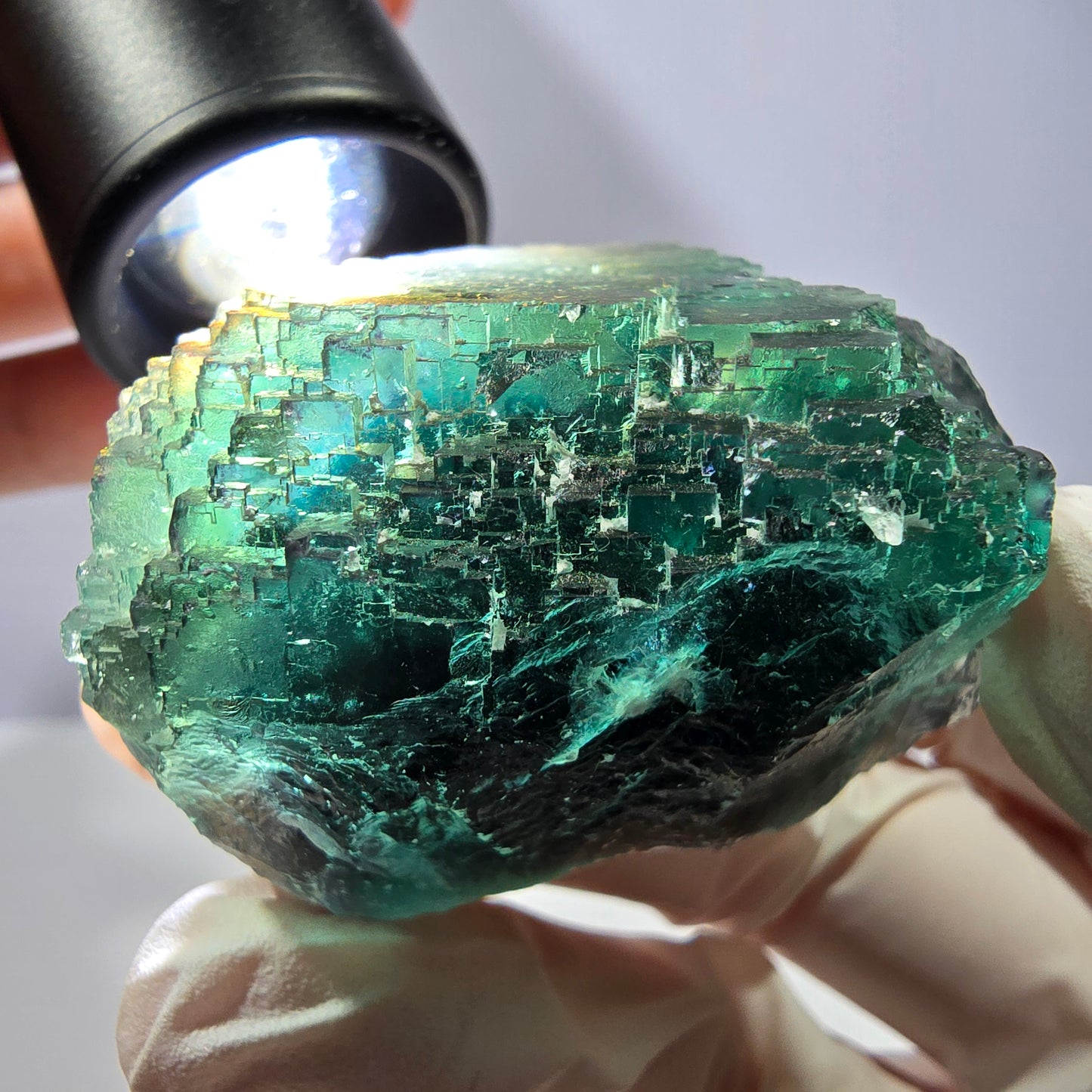 Spécimen de cube de fluorite fantôme, parqueté vert violet Okorusu, Namibie 45*43*31 mm 