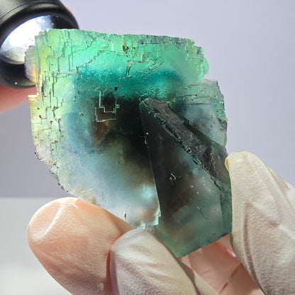 Spécimen de cube de fluorite fantôme transparente, vert parqueté, Okorusu, Namibie, 62 x 34 x 32 mm 