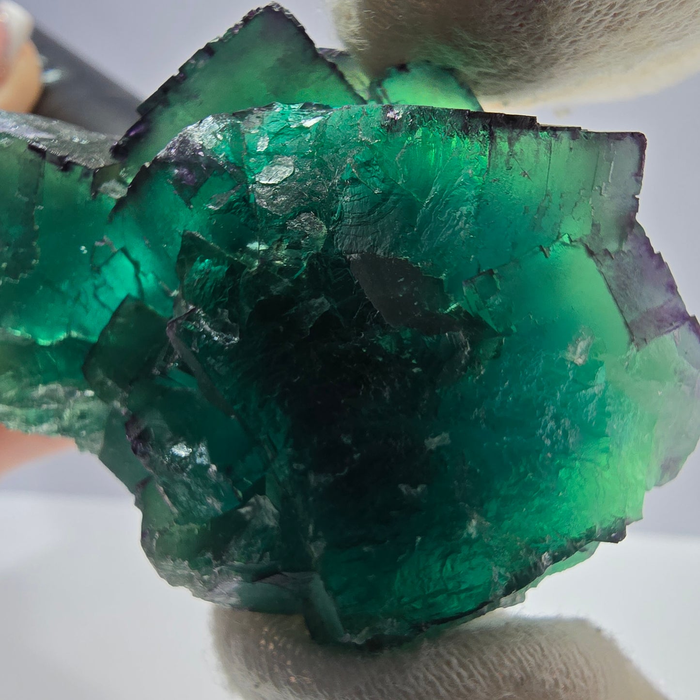 Phantom Fluorit Würfel Stufe parkettiert zonal Okorusu Namibia 63*45*28mm
