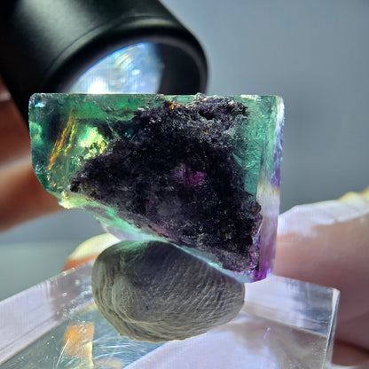Rare cube de fluorite fantôme parqueté vert violet Okorusu Namibie 18*18*16mm 