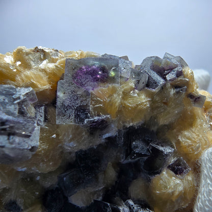 Bunte Phantom Fluorit Würfel Schörl Turmalin Muskovit Erongo, Namibia 55*46*21mm