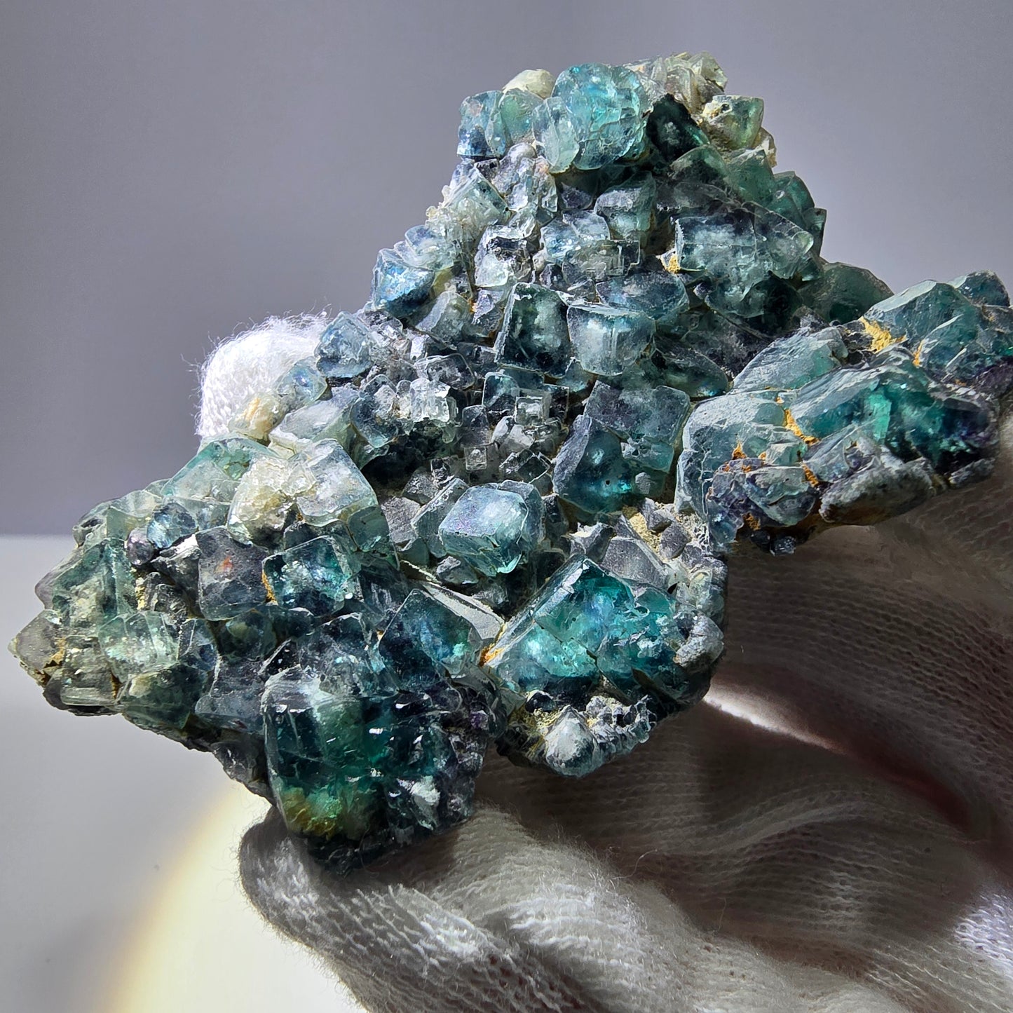 Rares cubes de fluorite fantôme zonaux, vert violet, Erongo, Namibie 75 x 53 x 15 mm 