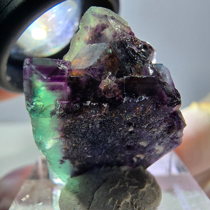 Phantom Fluorit Würfel Stufe, parkettiert grün lila Okorusu, Namibia 27*19*16mm