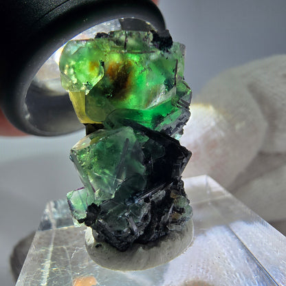 Cube de fluorite fantôme zonal, tourmaline muscovite Schorl Erongo Namibie 24 x 16 x 12 mm 