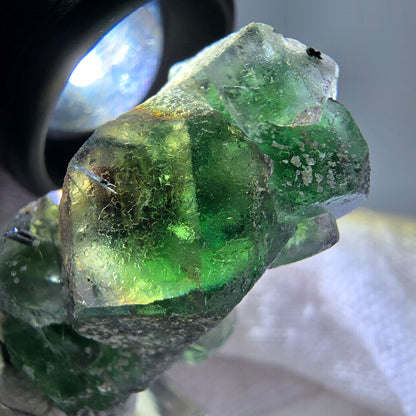 Fluorite fantôme, Tourmaline Schörl, Stade muscovite Erongo, Namibie 35*20*20mm 