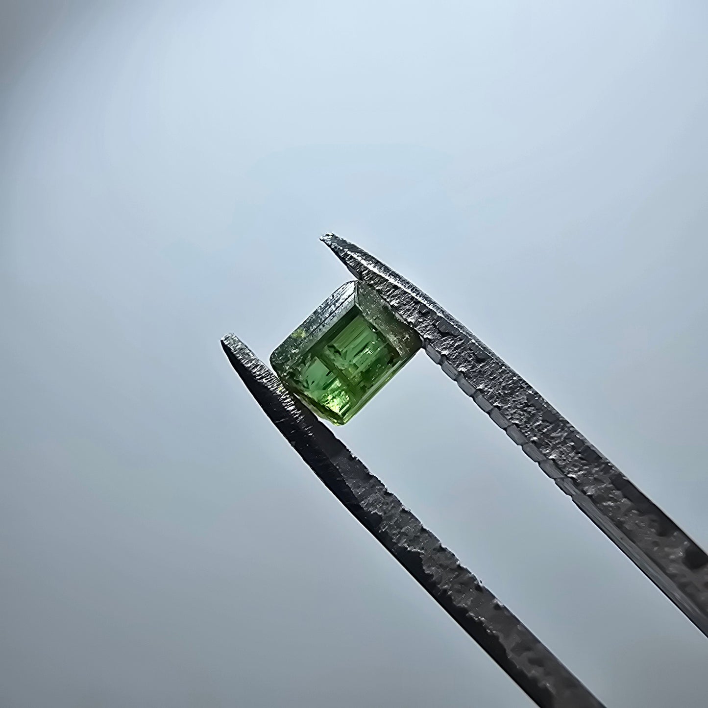 Cristal de tourmaline verdélite rare, vert Minas Gerais, Brésil #7978