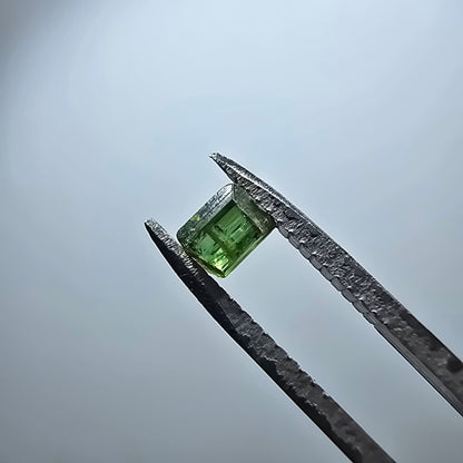 Cristal de tourmaline verdélite rare, vert Minas Gerais, Brésil #7978