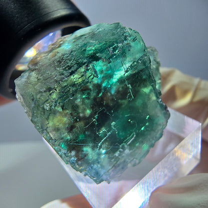 Phantom Fluorit Würfel Stufe, grün parkettiert Okorusu, Namibia 30*24*23mm