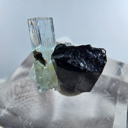 Aigue-marine de Setlene, tourmaline de Schörl, stade orthose Erongo, Namibie 16*14*10 mm 