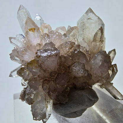 Skeleton Phantom Smoky Quartz DT Scepter Grade Valentine Pocket, Namibia 55*44*18mm 