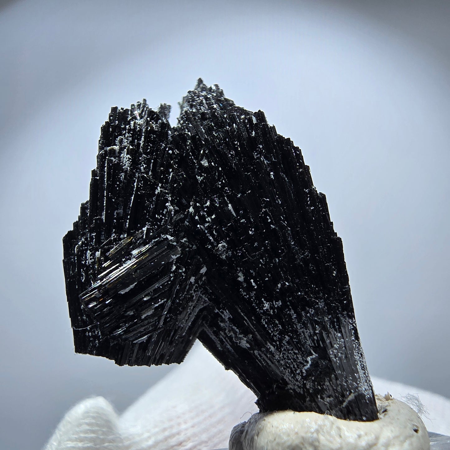 Magnifique spécimen de tourmaline Schorl et de quartz, Erongo, Namibie, 37 x 24 x 15 mm 