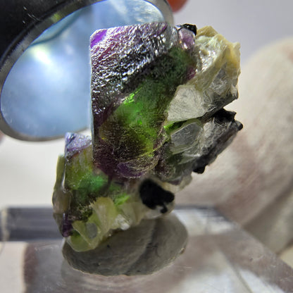 Cube de fluorite fantôme hexagonal, muscovite, tourmaline Schörl Erongo, Namibie 21*14*11mm 