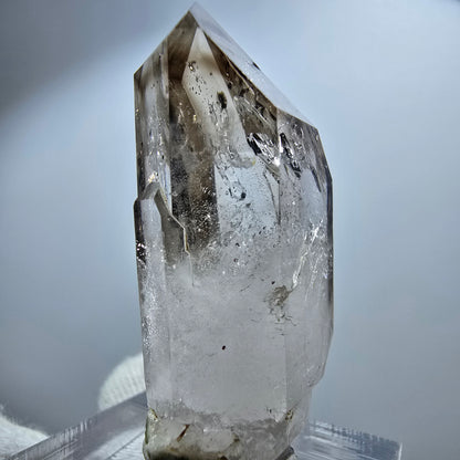 Pointe de sceptre en quartz fumé fantôme lémurien, Goboboseb, Namibie, 41 x 18 x 13 mm 