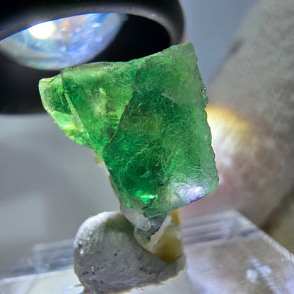 Cube de fluorite fantôme zonal, spécimen de muscovite, Erongo, Namibie, 19 x 13 x 11 mm 