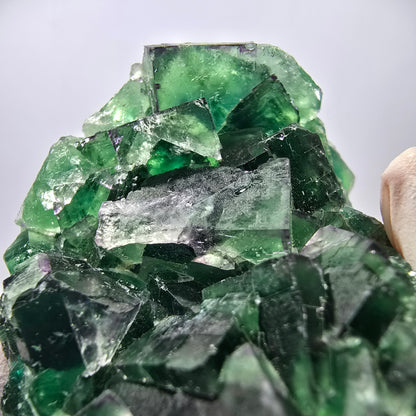 Spécimen de cube de fluorite fantôme parqueté vert violet Okorusu, Namibie 62*44*26mm 
