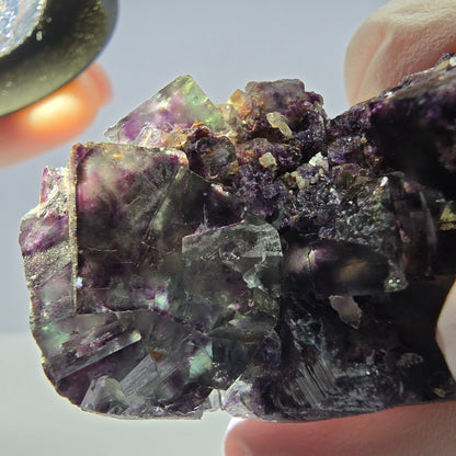 Spécimen de cube de fluorite fantôme parqueté vert violet Okorusu, Namibie 49*27*17mm 