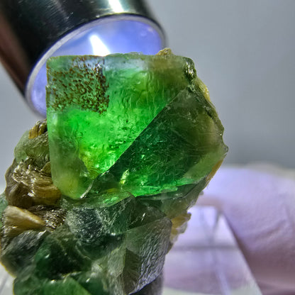 Cube de fluorite fantôme, spécimen de muscovite, Erongo, Namibie, 23 x 17 x 17 mm 