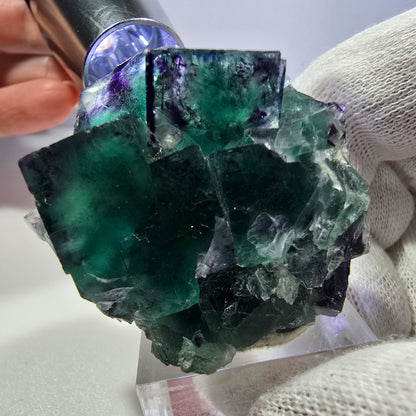 Spécimen de cube de fluorite fantôme transparente, vert-violet zonal, Okorusu, Namibie, 47 x 43 x 31 mm 