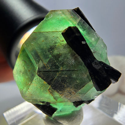Spécimen de tourmaline Schorl hexagonale en fluorite fantôme, Erongo, Namibie, 23 x 22 x 22 mm 