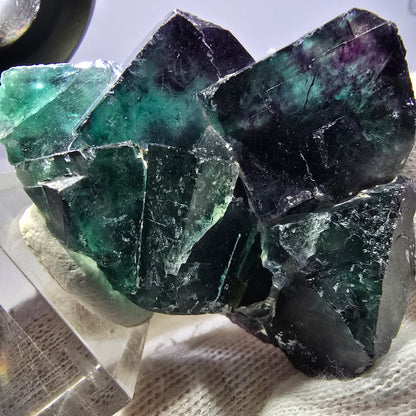 Spécimen rare de cube de fluorite fantôme, vert zonal et violet, Okorusu, Namibie, 62 x 49 x 21 mm 