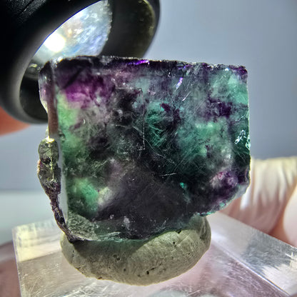 Phantom Fluorit Würfel parkettiert, grün lila Okorusu, Namibia 22*20*14mm