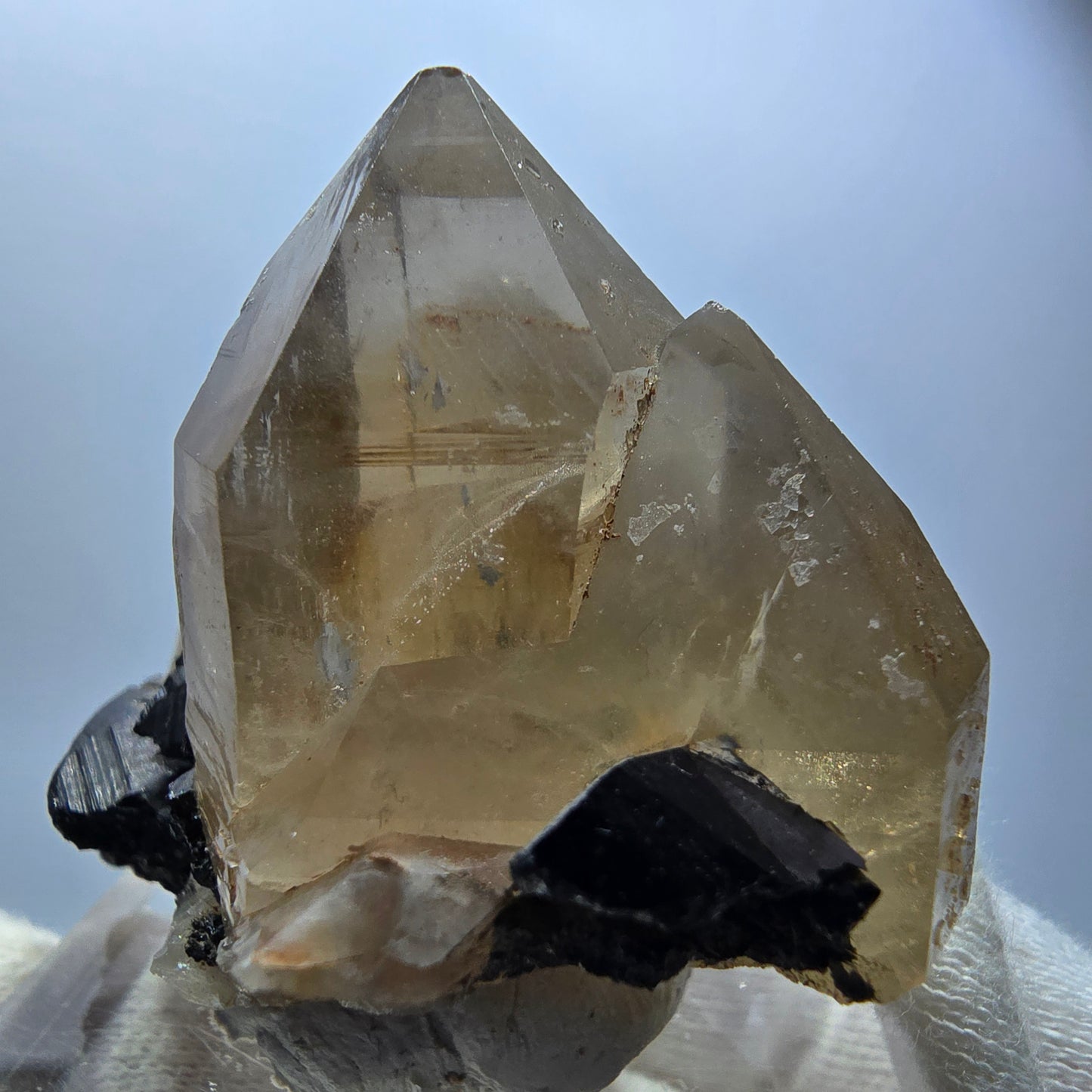 Spécimen rare de quartz fumé et de tourmaline Schorl à Erongo, Namibie, 53 x 48 x 39 mm 