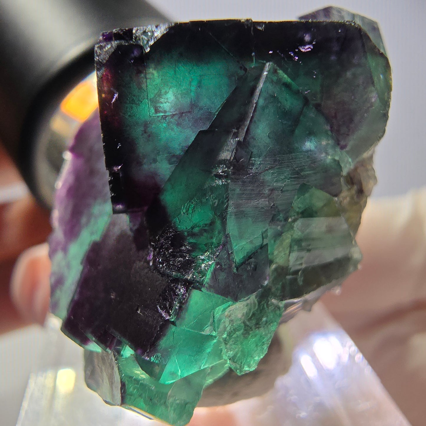 Phantom Fluorit Würfel Stufe, parkettiert grün lila Okorusu, Namibia 39*32*20mm